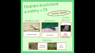 Chránění živočichové a rostliny v ČR  soubor aktivit třísložkové karty domino Já mám kdo má… [upl. by Weisbart]