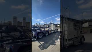 reels trailer peterbilt carhauling trucking automobile peterbilttruck truckdriver semitrai [upl. by Thamos341]