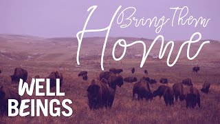 Montana Tribe Establishes Wild Buffalo Herd amp Heals Their Community  Bring Them Home  Well Beings [upl. by Burt]