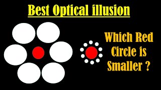 Best Optical illusion  Ebbinghaus illusion Explained  Titchener Circles illusion [upl. by Shull]