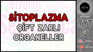 16 Sitoplazma 2 Çift Zarlı Organeller  Hücre İskelet Elemanları [upl. by Leima]