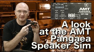 A look at the AMT Pangaea CP100 IR Speaker Sim [upl. by Kelleher428]