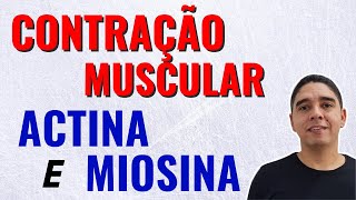 Actina e Miosina na Contração Muscular Músculo Esquelético 34 [upl. by Catharine]