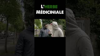 Lherbe médicinale [upl. by Cadel]