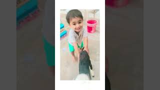 Amuly ki smile bakri ke sath shortvideo babyboy youtubeshort masti [upl. by Memberg]