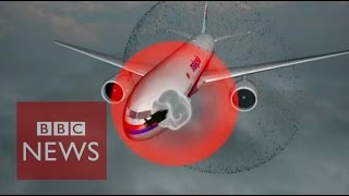 Animation shows fate of flight MH17  BBC News [upl. by Powder]