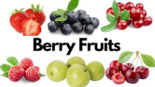 Berry Fruits Berry fruits names in English Fruits Fruits vocabulary [upl. by Kizzie]