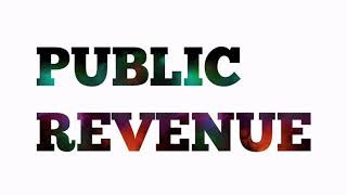 PUBLIC REVENUE MEANINGSOURCESDIRECT AND INDIRECT TAXES [upl. by Garratt]