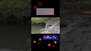 Scenic waterfalls at carrington falls kangaroo Valley NSW Australia 🇦🇺 ♥️ [upl. by Goldsworthy121]