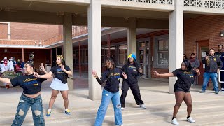 University of Arizona UA Homecoming Stroll Off 20242025 Sigma Gamma Rho [upl. by Sachiko]