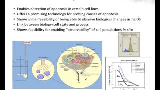 Fundamentals and Application of Dielectric Spectroscopy [upl. by Naejeillib]