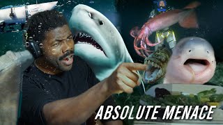 These Fish are leagues worse than sharks  The Chill Zone Reacts [upl. by Holey]