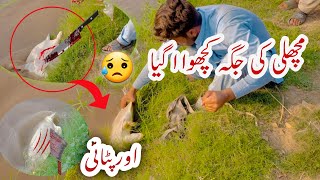 Fish ki jaga tortoise aa gia  fishing hook suddenly caught tortoise  tortoise caught video [upl. by Rengaw807]