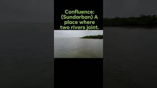 🗾Confluence 🗾Sundarban the place where two rivers flow together and become one larger river [upl. by Elset]