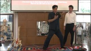 Mantak Chia winter retreat 2017 Tai Chi Chi Kung [upl. by Edi]