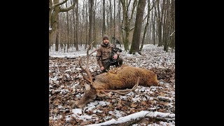 Hirschjagd mit Pfeil und Bogen in Ungarn [upl. by Nathanson]