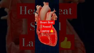 Heart Beat Sound Laptop 💞 heart heartbroken  Neet [upl. by Sanjiv458]