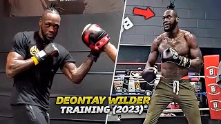 Deontay Wilder training for next fight Crazy Power HIGHLIGHTS HD BOXING 2023 [upl. by Oicnerolf]