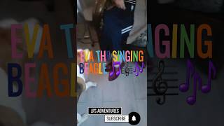 Eva the singing Dog magic puppy doglover live funny dogowner love dog fun magic crazy yo [upl. by Anirba143]