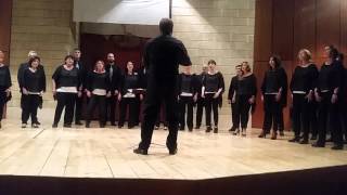 Cantate Domino  Claudio Monteverdi  YouTube Music [upl. by Greeson]