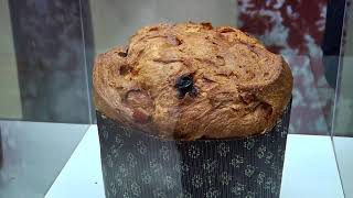 quotPanettone dArtistaquot alla Stazione Marittima di Salerno degustazione dei migliori panettoni [upl. by Harutek447]