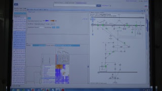 2019 Ingenuity Pathway Analysis Workshop [upl. by Halbeib]