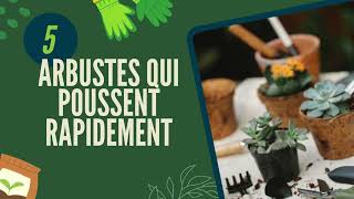 5 arbustes qui poussent rapidement [upl. by Sukramaj160]