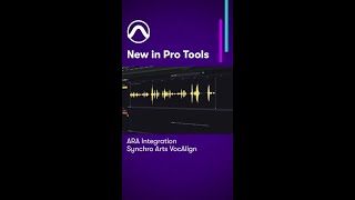 NEW IN PRO TOOLS Synchro Arts VocAlign ARA plugin in Pro Tools [upl. by Lucine789]