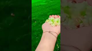 Mogra flowers 💮song viralvideo plzlikesharesubscribe [upl. by Suolevram]