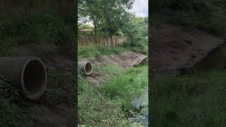 Garaiya Machhari Bhojpuri Songs Video Shorts MRRAVIKE115 [upl. by Stefanie424]