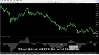 41 MACD 指標 [upl. by Tegdig954]