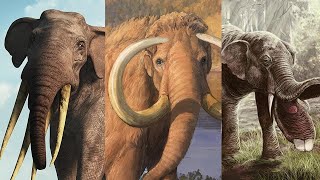 The Evolution Of Elephant Journey The Elephant Saga [upl. by Lust246]