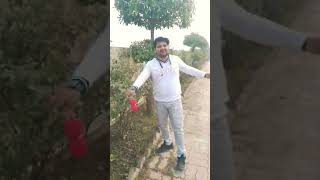 Phool phool pe bani teri tasveer bollywood song music bollyrwoodsongs [upl. by Starbuck614]