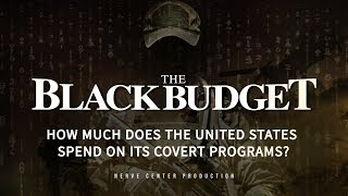 Nerve Explainer  How Much Does US Spend On Covert Programs  Indus News [upl. by Hayward]