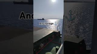 Taranto anchorage⚓ship reels nature cruise seaman sailing taranto italy offshore for [upl. by Emmey]