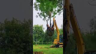 Tree relocator machine fypyoutube trendingshorts machine treerelocator [upl. by Clarabelle]