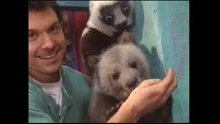 Zoboomafoo  Fearfest Full PBS Broadcast [upl. by Analim947]