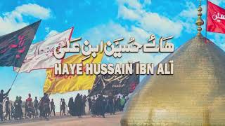 Haye Hussain Ibn Ali  Nadeem Sarwar  45th Album  2024  1446 [upl. by Noryt]