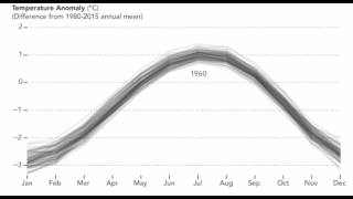 Temperature Anomaly [upl. by Marden]