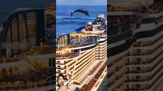 Rare moment Dolphins and Helicopters pass over cruise ships adventure dolphin shortsfeed [upl. by Dumah]