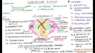 Cerebellar Disease  Cerebellar Lesions [upl. by Pickett393]