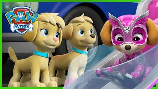 Marshall and Skye Rescue Knights Episodes and More 🏰 PAW Patrol  Cartoons for Kids [upl. by Aihseit]