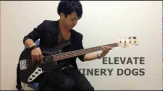 The Winery Dogs 「ELEVATE」BassCoverSolo by TAKAFUMI [upl. by Huber]