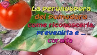 LA PERONOSPORA DEL POMODORO [upl. by Ellehcer]