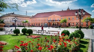 Sombor živi [upl. by Lay]