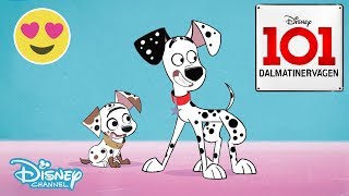 Dalmatinervägen 101  Leriga valpar 🐶 Disney Channel Sverige [upl. by Mala]