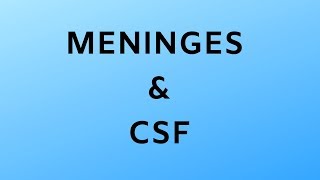 AF SOMALI NEUROSCIENCE MENINGES amp CSF PART SEVEN [upl. by Akers338]