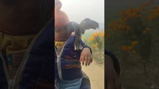 shortvideo Chhota baccha ka style lajawabautomobile krishnababu52 [upl. by Anthiathia]