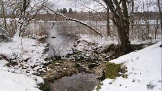 LAC ETIVAL JURA 39 En hiver sous la neige [upl. by Wolfson436]