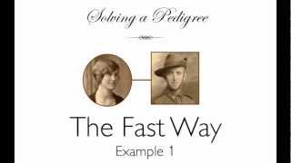 Solving a Pedigree  the Fast Way example 1 [upl. by Adnohsel]